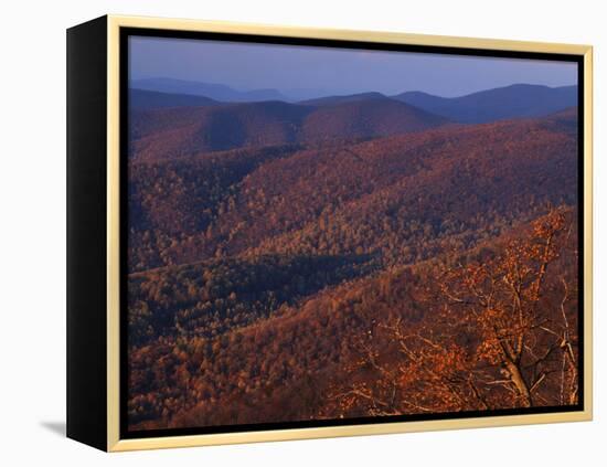 Jewell Hollow, Shenandoah National Park, Virginia, USA-Charles Gurche-Framed Premier Image Canvas