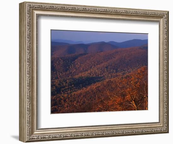 Jewell Hollow, Shenandoah National Park, Virginia, USA-Charles Gurche-Framed Photographic Print