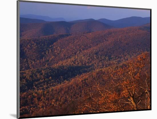 Jewell Hollow, Shenandoah National Park, Virginia, USA-Charles Gurche-Mounted Photographic Print