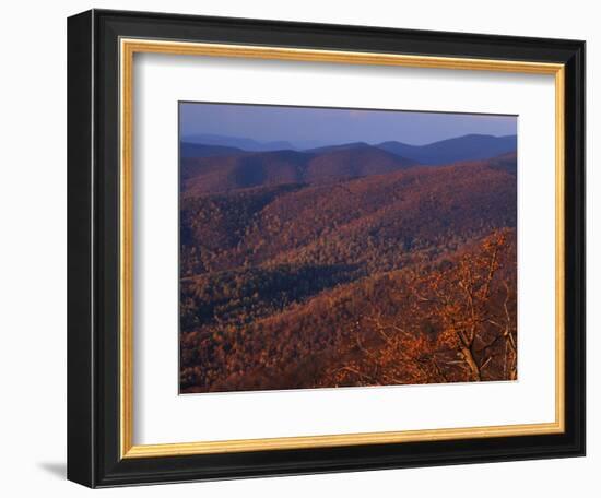 Jewell Hollow, Shenandoah National Park, Virginia, USA-Charles Gurche-Framed Photographic Print