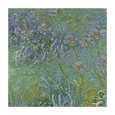 'Jewelry Lilies' Giclee Print - Claude Monet | Art.com