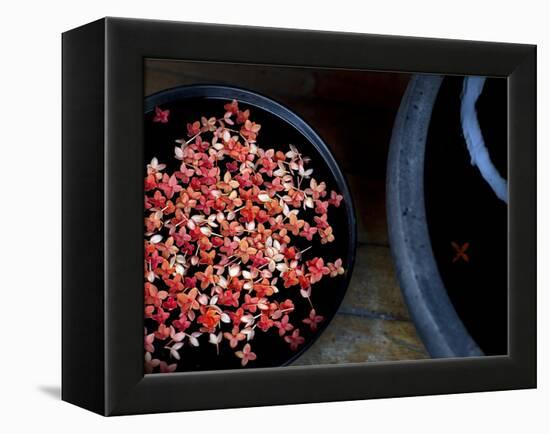 Jewels and Jasmine-Valda Bailey-Framed Premier Image Canvas