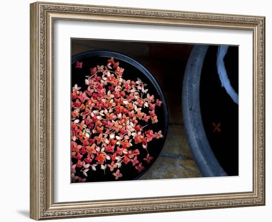 Jewels and Jasmine-Valda Bailey-Framed Photographic Print