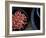 Jewels and Jasmine-Valda Bailey-Framed Photographic Print