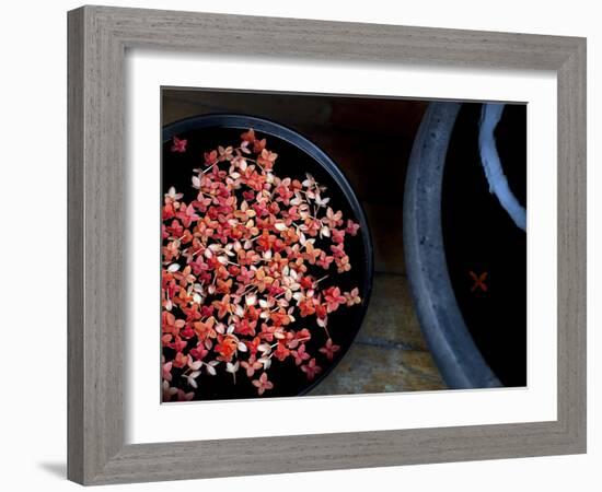 Jewels and Jasmine-Valda Bailey-Framed Photographic Print