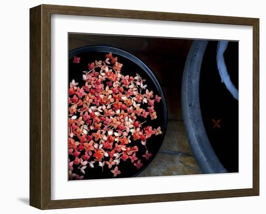 Jewels and Jasmine-Valda Bailey-Framed Photographic Print