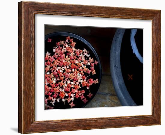 Jewels and Jasmine-Valda Bailey-Framed Photographic Print