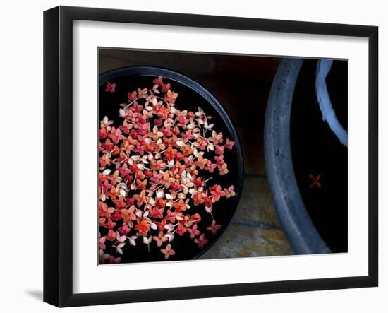 Jewels and Jasmine-Valda Bailey-Framed Photographic Print