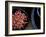 Jewels and Jasmine-Valda Bailey-Framed Photographic Print