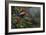 Jewels of the Forest-Michael Jackson-Framed Giclee Print