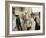 Jewish Bar Mitzvah Ceremony at the Western Wall (Wailing Wall), Jerusalem, Israel, Middle East-S Friberg-Framed Photographic Print