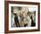 Jewish Bar Mitzvah Ceremony at the Western Wall (Wailing Wall), Jerusalem, Israel, Middle East-S Friberg-Framed Photographic Print