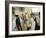 Jewish Bar Mitzvah Ceremony at the Western Wall (Wailing Wall), Jerusalem, Israel, Middle East-S Friberg-Framed Photographic Print