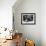 Jewish Families Sitting in the Sun During Visit to a Park-null-Framed Photographic Print displayed on a wall