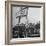 Jewish Immigrants, Arriving in Haifa Aboard Refugee Ship, Waving Future Flag of the State of Israel-Dmitri Kessel-Framed Photographic Print