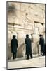 Jewish Orthodox Men Pray at Western Wall, Jerusalem, Israel-David Noyes-Mounted Photographic Print