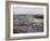 Jewish Quarter of Western Wall Plaza, Old City, UNESCO World Heritage Site, Jerusalem, Israel-Gavin Hellier-Framed Photographic Print