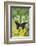 Jezebels Butterfly, Delias Species in the Pieridae Family-Darrell Gulin-Framed Photographic Print