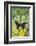 Jezebels Butterfly, Delias Species in the Pieridae Family-Darrell Gulin-Framed Photographic Print