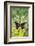 Jezebels Butterfly, Delias Species in the Pieridae Family-Darrell Gulin-Framed Photographic Print