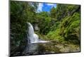 Photographic Print