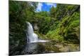 Photographic Print