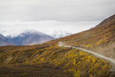Camper buses driving into the heart of Denali National Park, Alaska, United States of America, Nort-JIA JIAHE-Photographic Print