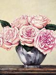 Pink Roses II-Jill Deveraux-Art Print