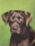 Dog Portrait, Yellow Lab-Jill Sands-Framed Art Print