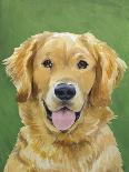 Dog Portrait, Golden-Jill Sands-Art Print