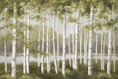 Spring Birch Tree Grove-Jill Schultz McGannon-Art Print