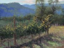 Vineyard On The Hill-Jill Schultz McGannon-Art Print