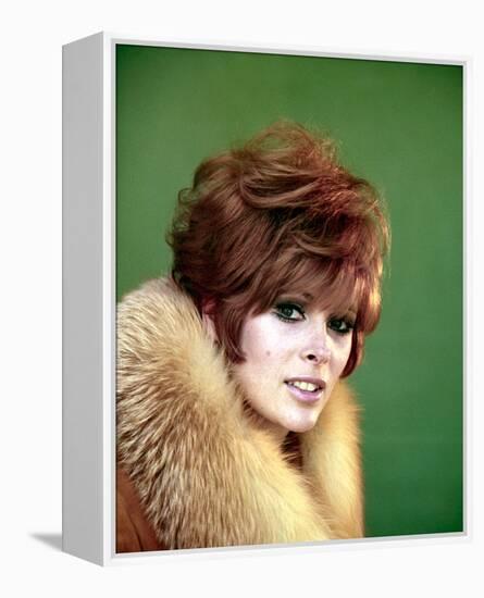 Jill St. John-null-Framed Stretched Canvas