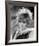 Jill St. John-null-Framed Photo