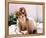 Jill St. John-null-Framed Stretched Canvas