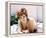 Jill St. John-null-Framed Stretched Canvas