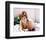 Jill St. John-null-Framed Photo