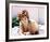 Jill St. John-null-Framed Photo