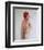 Jill St. John-null-Framed Photo