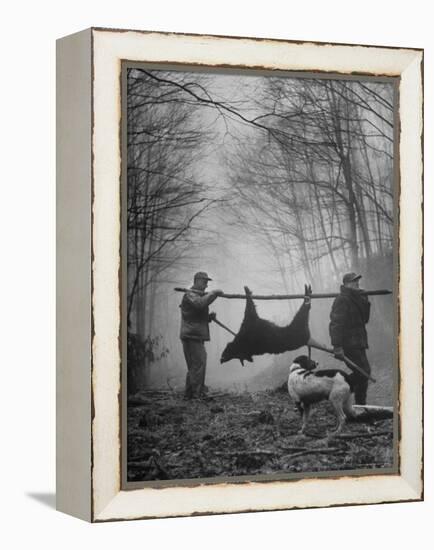 Jim Atchley and Dr. Ray Atchley Carrying Boar That They Killed-Ralph Crane-Framed Premier Image Canvas