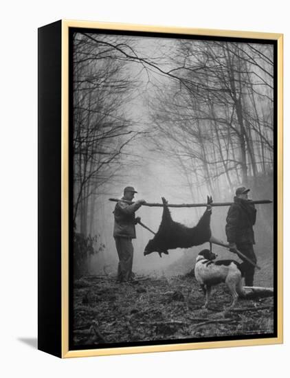 Jim Atchley and Dr. Ray Atchley Carrying Boar That They Killed-Ralph Crane-Framed Premier Image Canvas