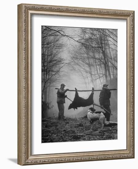 Jim Atchley and Dr. Ray Atchley Carrying Boar That They Killed-Ralph Crane-Framed Photographic Print