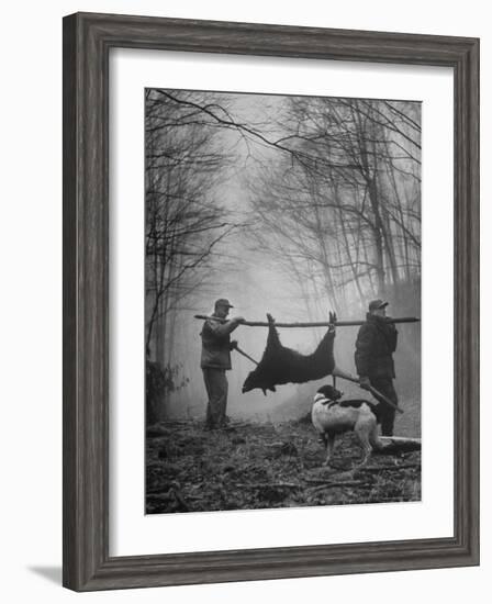 Jim Atchley and Dr. Ray Atchley Carrying Boar That They Killed-Ralph Crane-Framed Photographic Print