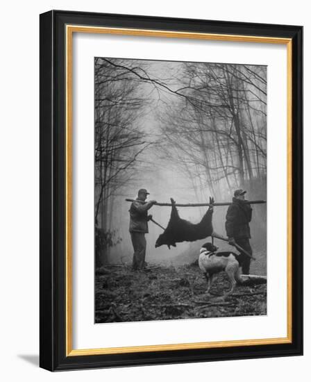 Jim Atchley and Dr. Ray Atchley Carrying Boar That They Killed-Ralph Crane-Framed Photographic Print