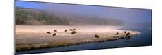Premium Photographic Print