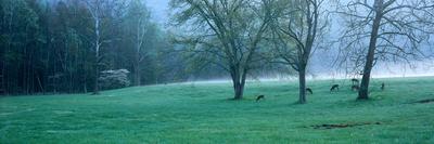 Early Autumn Snow-Jim Becia-Photographic Print