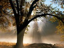 Sunrays Through the Fog-Jim Becia-Mounted Photographic Print