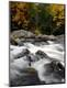 Premium Photographic Print