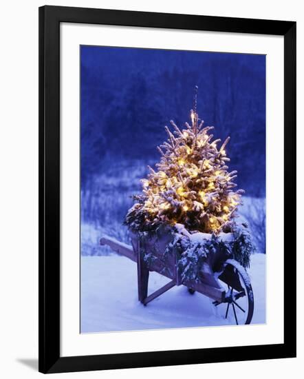 Photographic Print, , large