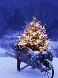 Snow Covering Adirondack Chairs by Lit Christmas Tree-Jim Craigmyle-Framed Photographic Print